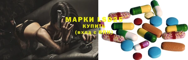 ГАЛЛЮЦИНОГЕННЫЕ ГРИБЫ Алексеевка